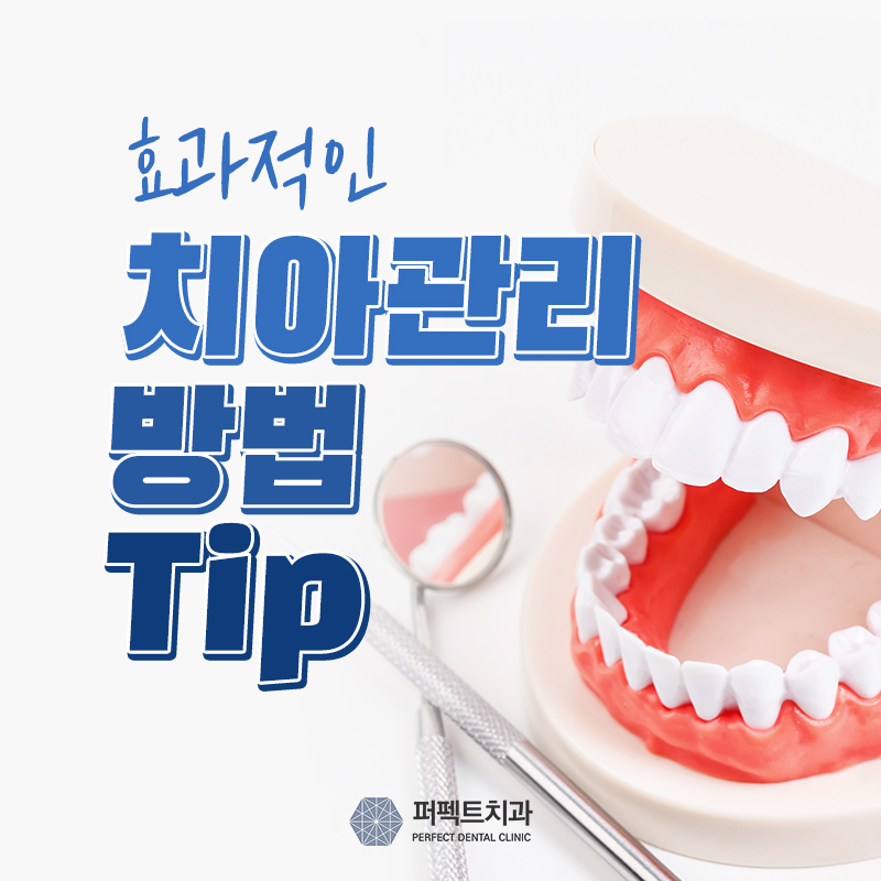 효과적인 치아관리 방법 Tip 관련 이미지 1