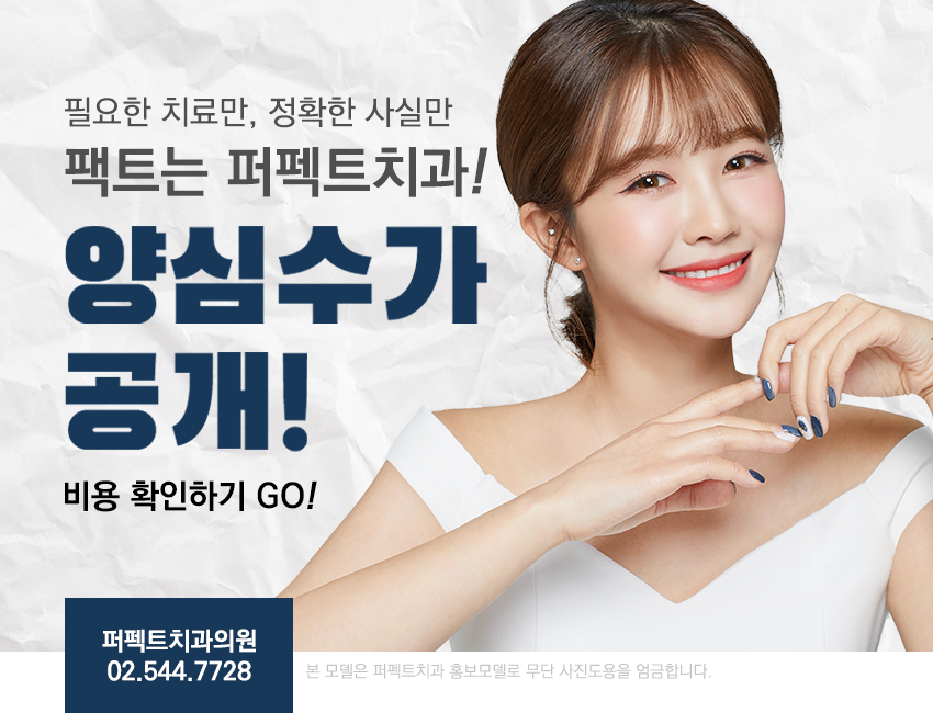 지르코니아 크라운 가격 궁금해? 관련 이미지 6