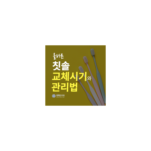 올바른 칫솔 교체시기&관리법은? 관련 이미지 7