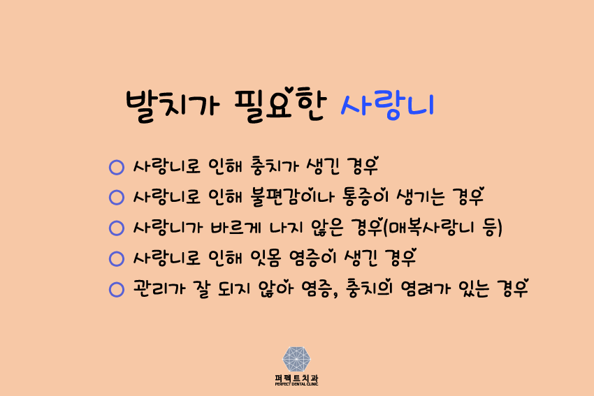 사랑니 뽑아야 되는데 아플까?ㅠㅠ 관련 이미지 3