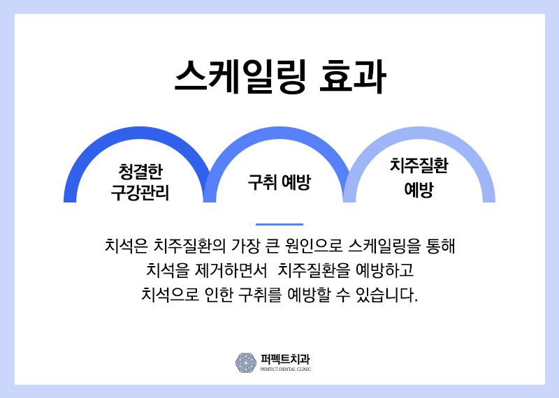 스케일링 의료보험 관련 이미지 4