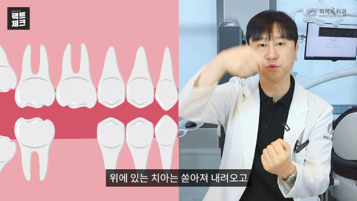 임플란트도 나이 제한이 있다?① - 학생편 관련 이미지 5