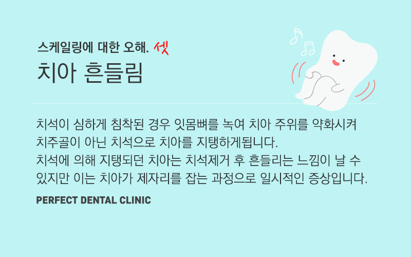 스케일링 아픈가요? 관련 이미지 7