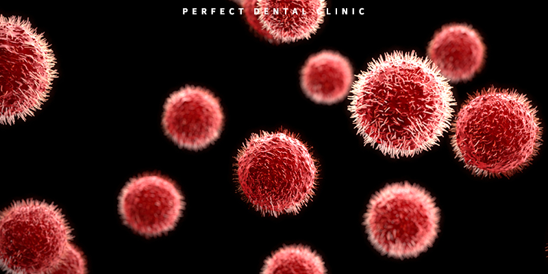 치아 충치 박테리아 관련 이미지 1