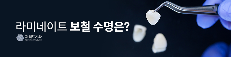 0.1mm 최소삭제, 앞니 라미네이트 후기 관련 이미지 3