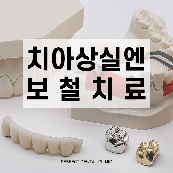 보철치료 종류 알아보기 관련 이미지 1