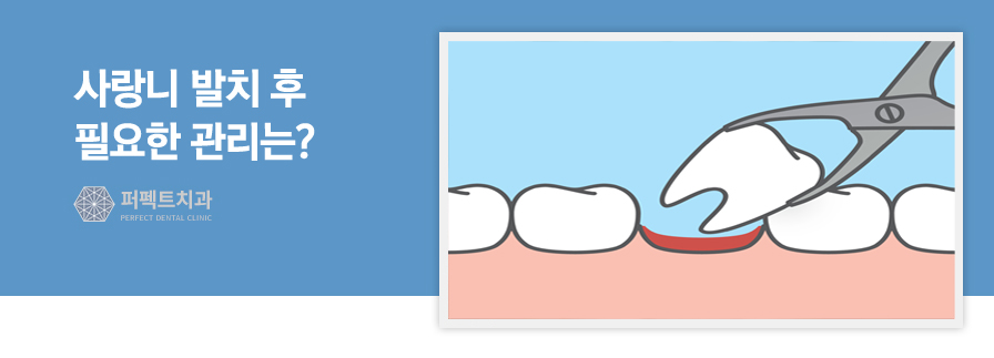 사랑니 발치 후 필요한 관리법은? 관련 이미지 3