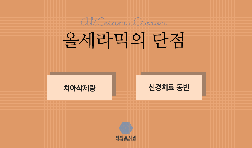 올세라믹 알아보고 있다면! 관련 이미지 4