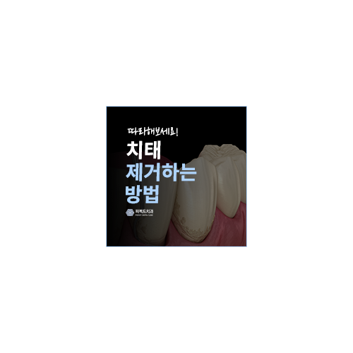혼자서 치태 없애는 방법! 관련 이미지 6