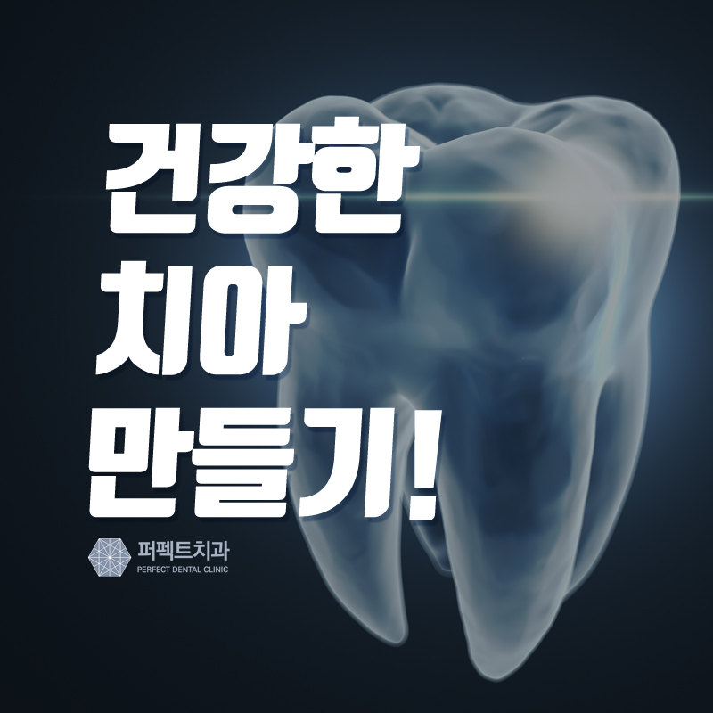 치아건강을 지키기 위해서는? 관련 이미지 1