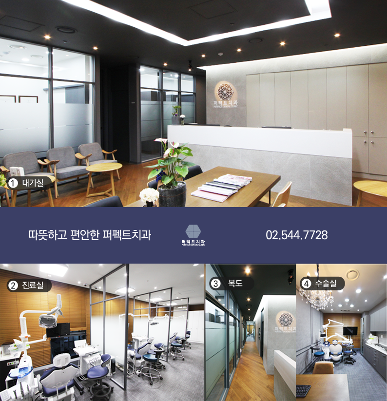 상실한 치아 찾고 싶은데 보철치료 종류에는? 관련 이미지 8