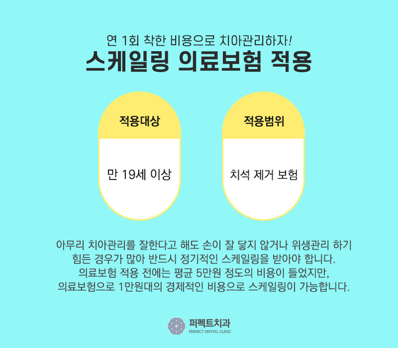 스케일링 아픈가요? 관련 이미지 2