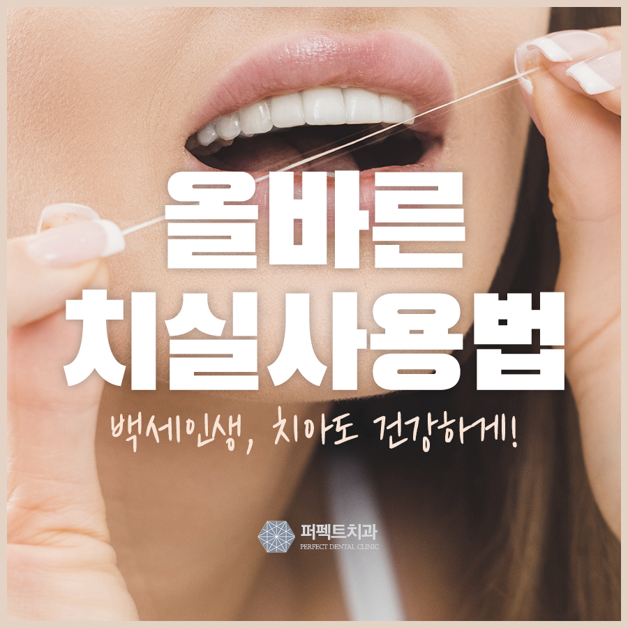 치실사용법 제대로 알고 하자! 관련 이미지 1