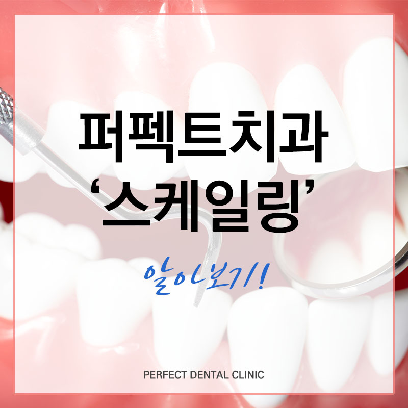 스케일링 아픈가요? 관련 이미지 1