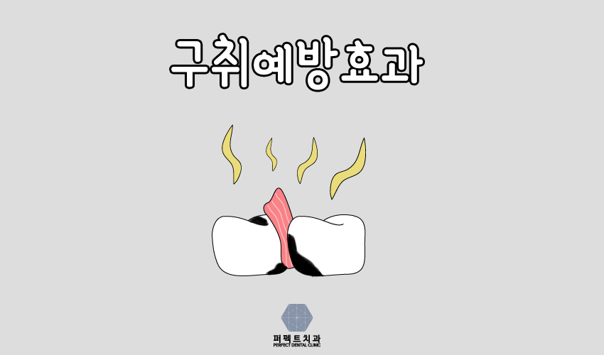 치실 사용법 제대로 알고 사용하자~ 관련 이미지 4