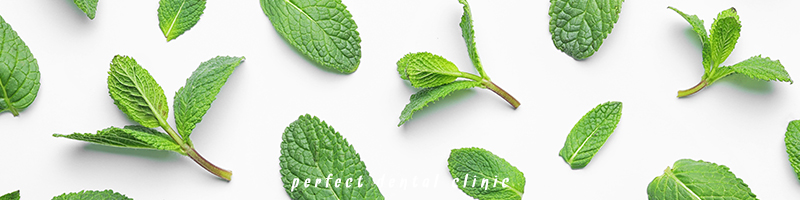 민트활용, 구취 치유법! 관련 이미지 2