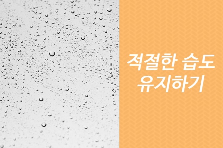 가을철 피부관리법 건조한 피부는 어떻게 하죠? 관련 이미지 3