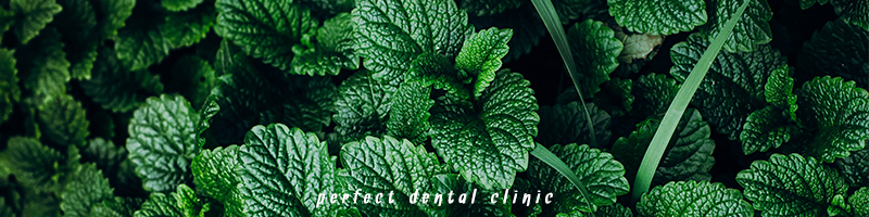 민트활용, 구취 치유법! 관련 이미지 1