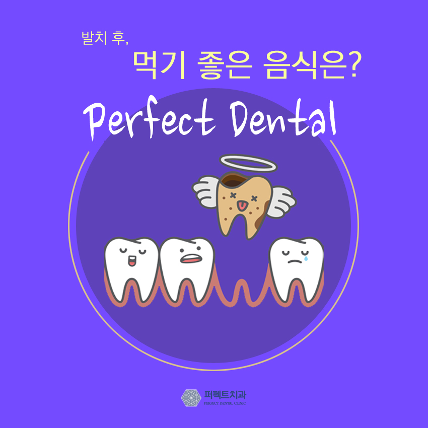 발치 후 무엇을 먹어야 잘 먹었다고 소문날까? 관련 이미지 1