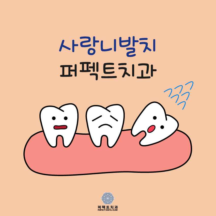 사랑니 뽑아야 되는데 아플까?ㅠㅠ 관련 이미지 1