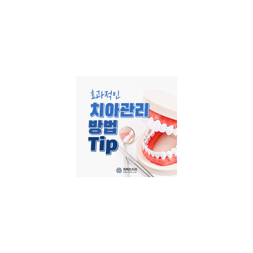 효과적인 치아관리 방법 Tip 관련 이미지 7