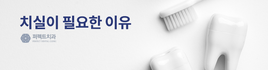 치실의 종류와 치실사용방법이 궁금하다면? 관련 이미지 2