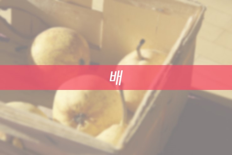 11월 제철음식으로 피부미용과 건강을 챙기자! 관련 이미지 4