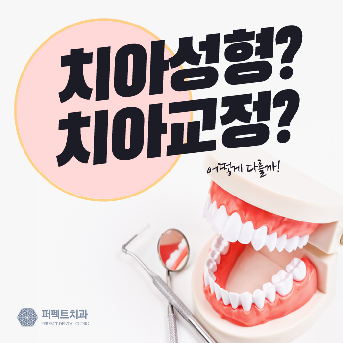 치아교정과 치아성형, 다른 점이 뭘까? 관련 이미지 1