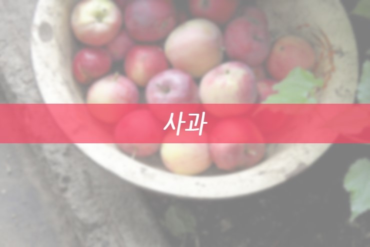 11월 제철음식으로 피부미용과 건강을 챙기자! 관련 이미지 2