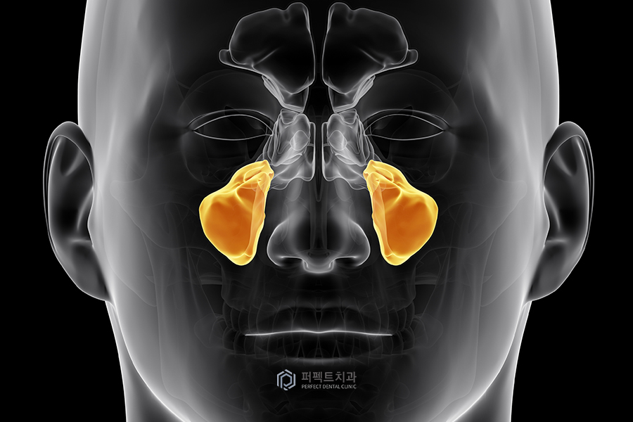 치통의 원인이 될 수 있는 상악동염이란? 관련 이미지 1