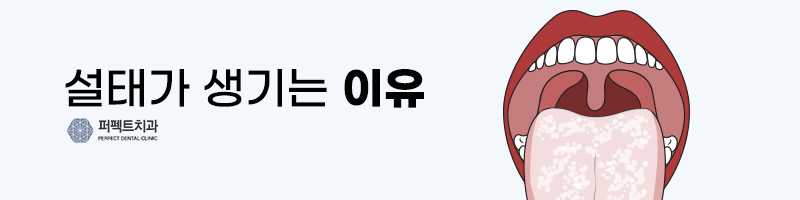 설태 없애는 방법 및 이유 관련 이미지 2