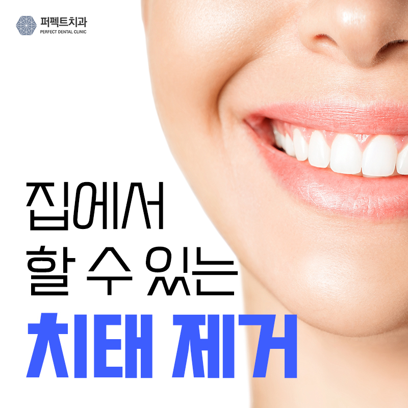 따라하기 쉬운 치태 없애는 방법 관련 이미지 1