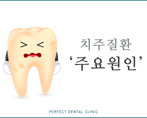 피나고 붓는 내 잇몸, 치주질환 예방법은? 관련 이미지 2