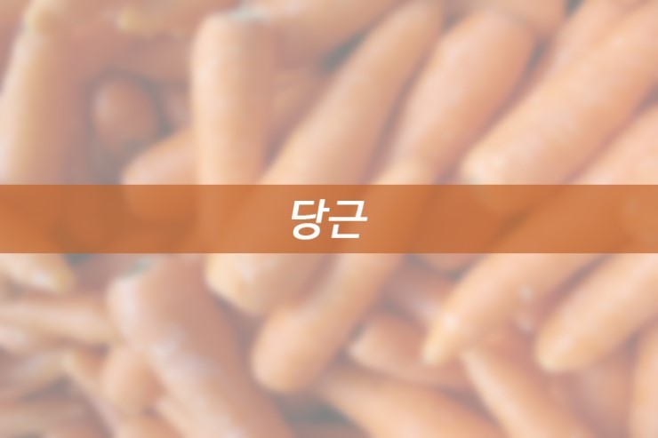 눈건강에좋은음식 눈이 피로하다면? 관련 이미지 2