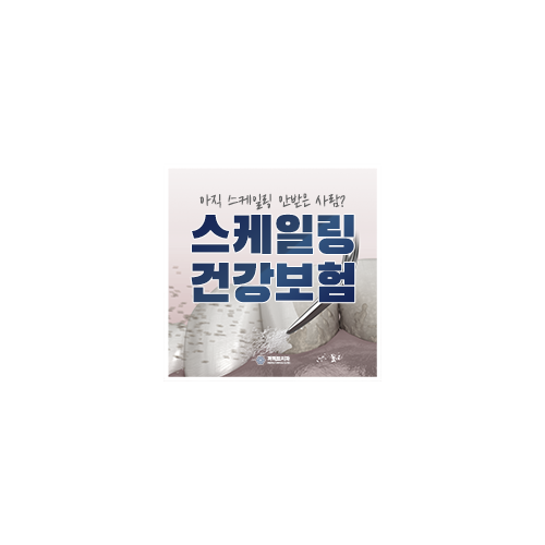 스케일링 효과와 보험적용 관련 이미지 7