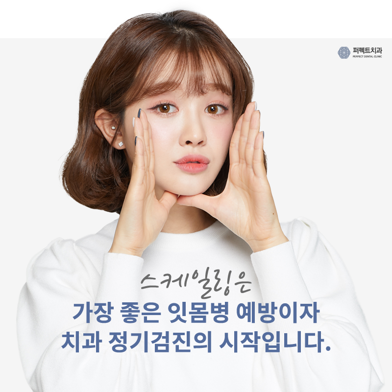 치석 제거는 스케일링으로! 관련 이미지 4