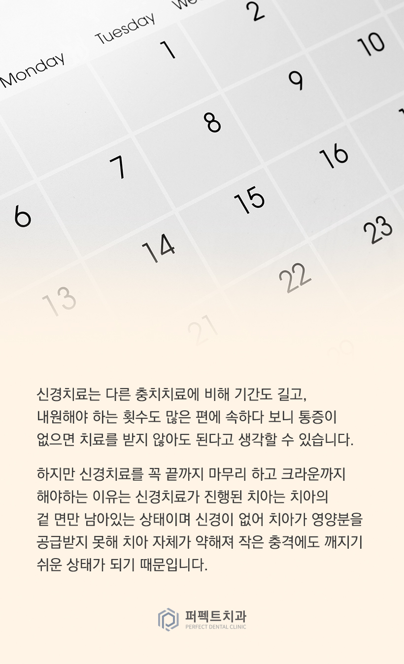 신경치료 후 크라운이 꼭 필요한 이유는? 관련 이미지 3