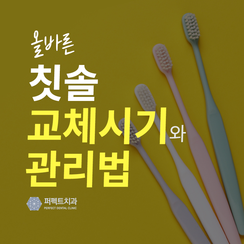 올바른 칫솔 교체시기&관리법은? 관련 이미지 1