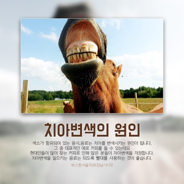 커피가 치아에 끼치는 영향은? 관련 이미지 4