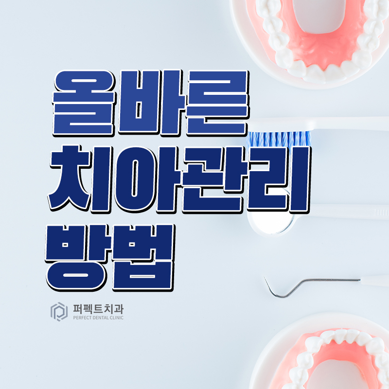 치과 정기검진, 치아관리 중요해요 관련 이미지 1