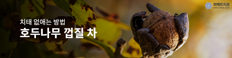 혼자서 치태 없애는 방법! 관련 이미지 2