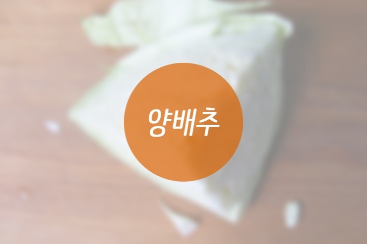 입맛 도는 가을철! 다이어트에 좋은 음식은? 관련 이미지 4