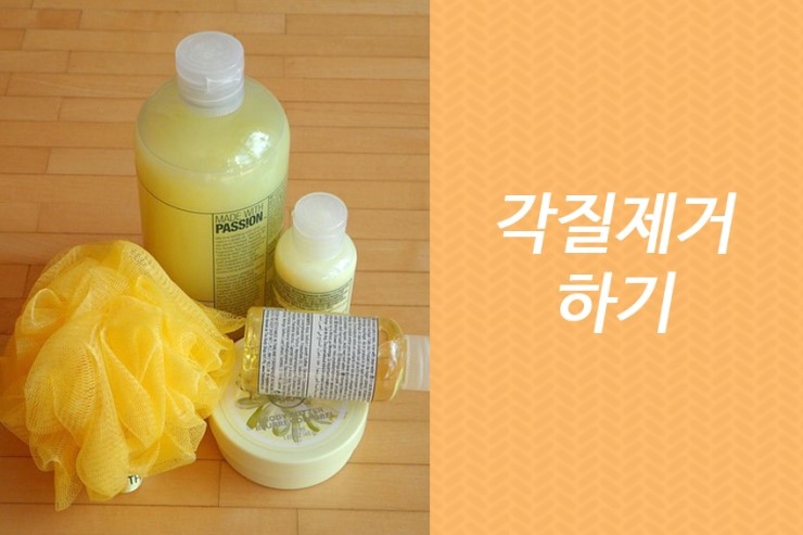 가을철 피부관리법 건조한 피부는 어떻게 하죠? 관련 이미지 4