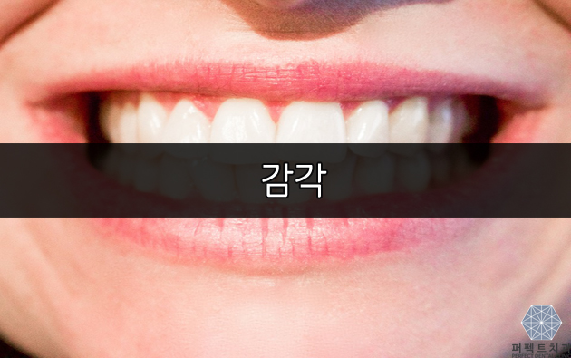 [퍼펙트치과] 충치 증상은 어떻게 알까? 관련 이미지 2