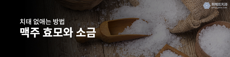 혼자서 치태 없애는 방법! 관련 이미지 3