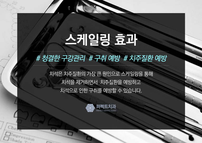 스케일링 아픈가요? 관련 이미지 4