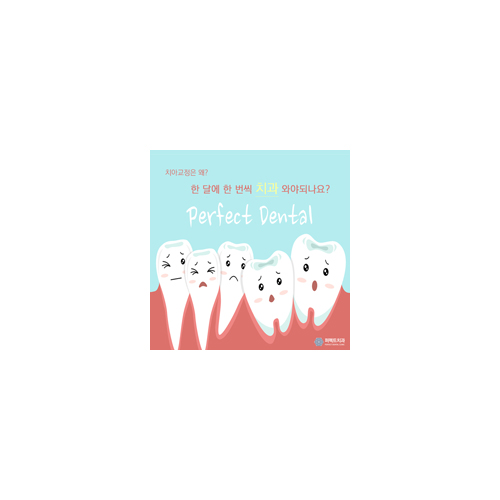 치아교정 월체크, 안 간지 오래되었어요 관련 이미지 5