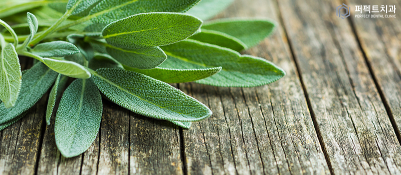 쉽게 따라하는 구취치료 방법 관련 이미지 3