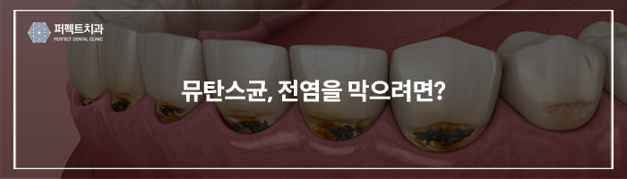 충치, 다른치아로 전염될 수 있다? 관련 이미지 3