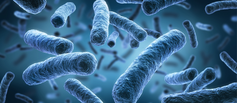 구강 박테리아, 들어봤어? 관련 이미지 2